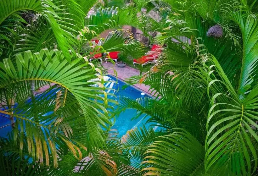 Majatalo Tengo Guest House