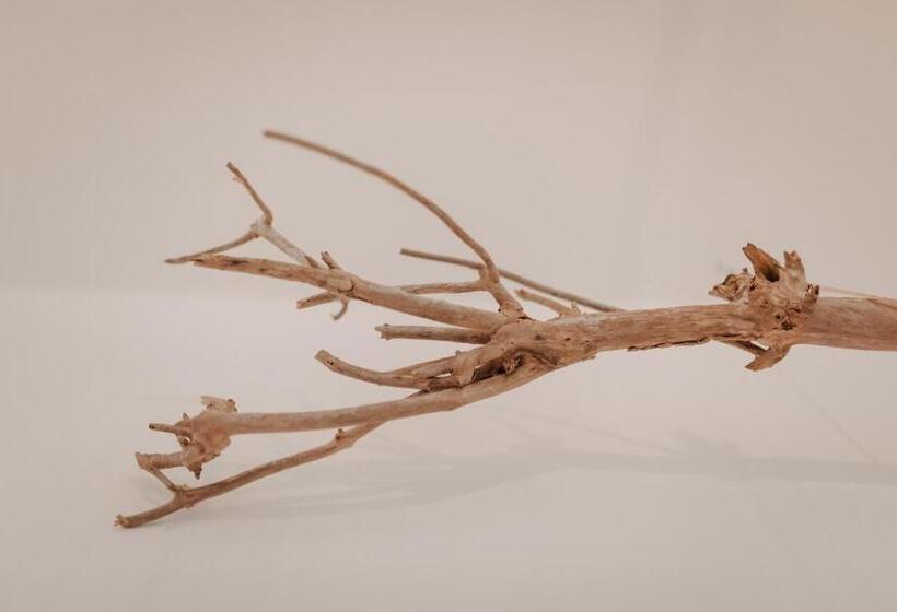 Villa Fresena Bude 8