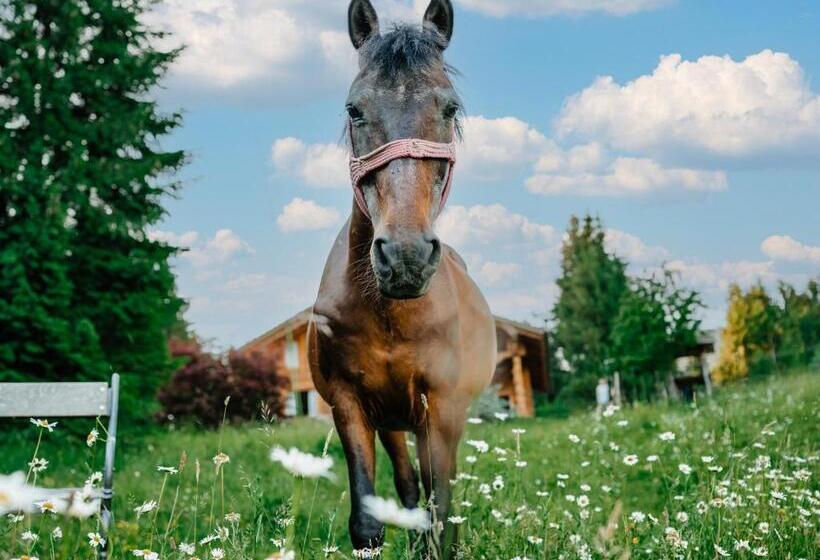 Casa De Vacanta Colibita Veche  Langa Lac