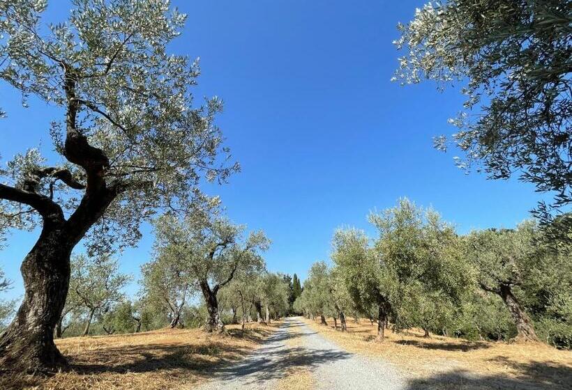Casa Sophia, Piscina Con Vista Mare Ingresso, Giardino, Barbecue E Parcheggio Privati By Toscanato