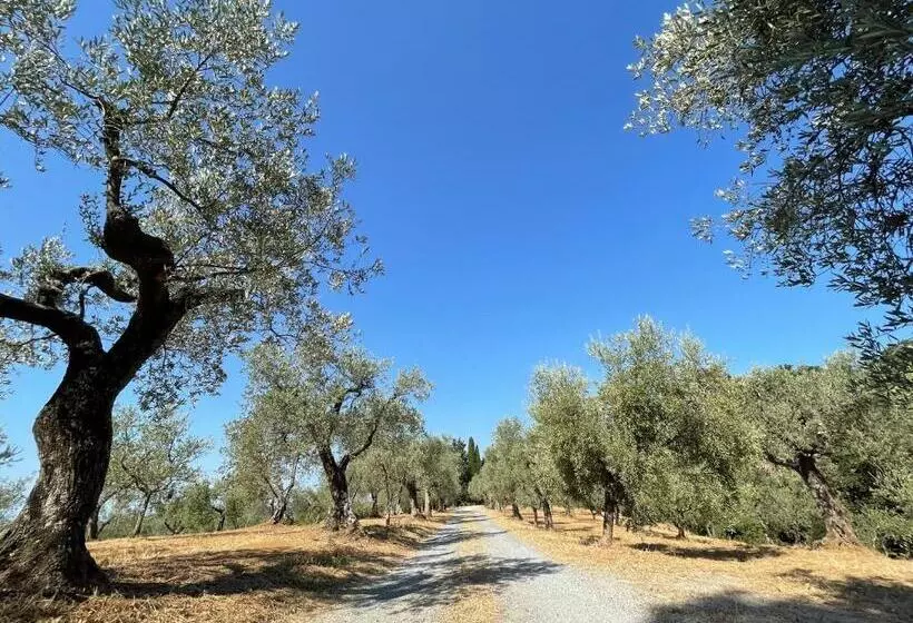 Casa Sophia, Piscina Con Vista Mare   Ingresso, Giardino, Barbecue E Parcheggio Privati By Toscanato