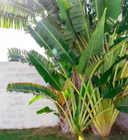Kaolin Villa 5 Chambres Piscine Au Cœur De La Saline Les Bains