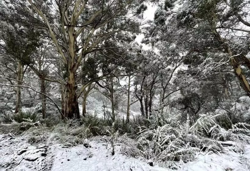 Wallaby Cabin