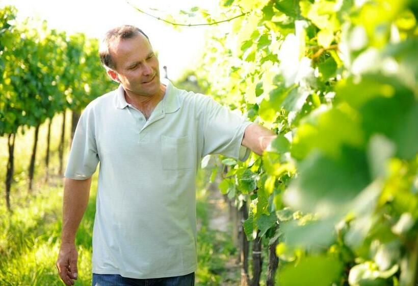 مبيت وإفطار Weingut Familie Schuster