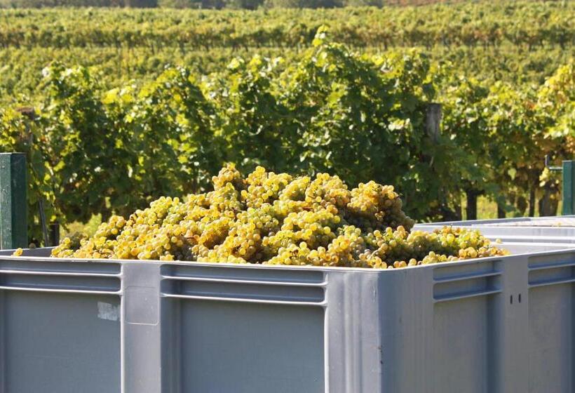 مبيت وإفطار Weingut Familie Schuster