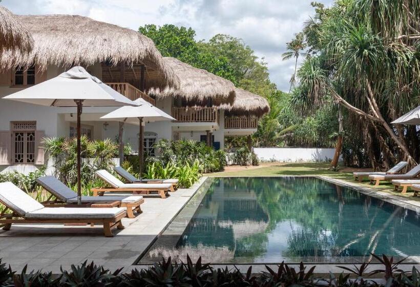 בית מלון כפרי Halcyon Mawella