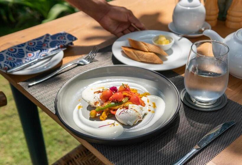 בית מלון כפרי Halcyon Mawella