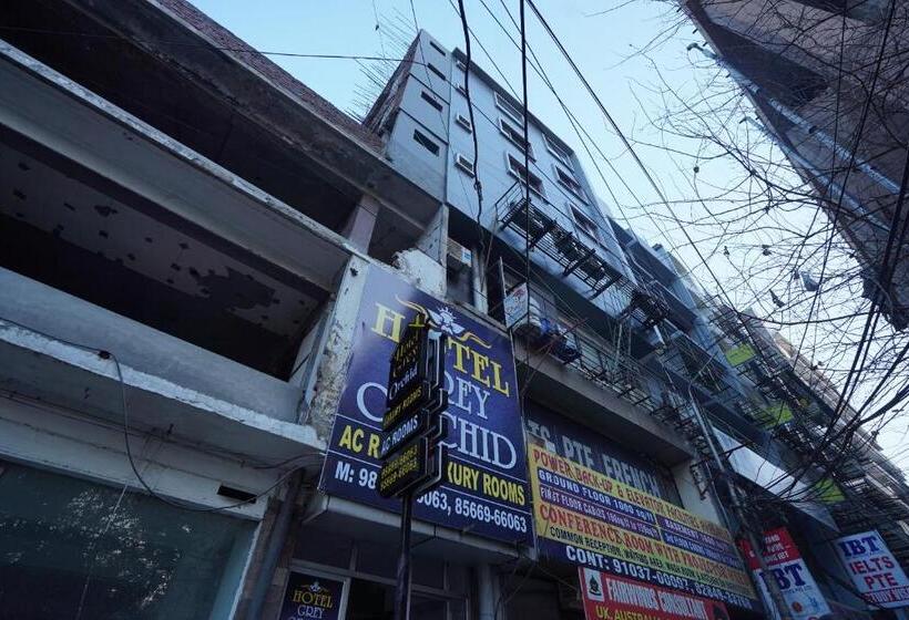 בית מלון כפרי Oyo 86335  Grey Orchid