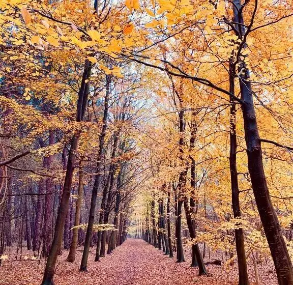 House Santa Maria   North Sea Stays