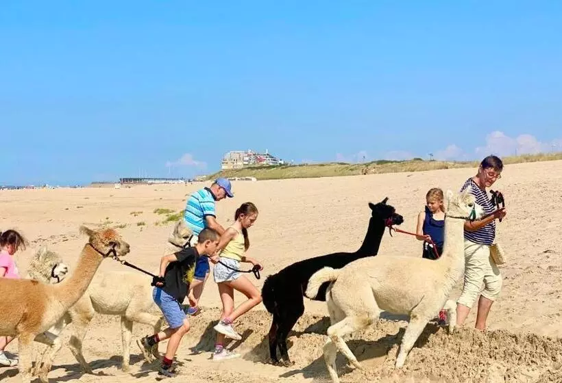 House Santa Maria   North Sea Stays