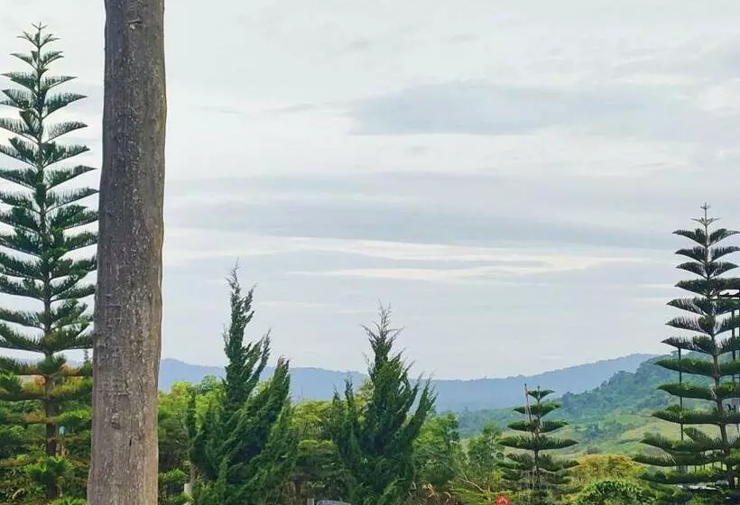 پانسیون บ้านพักเกชิลตา เขาค้อวิวทะเลหมอก