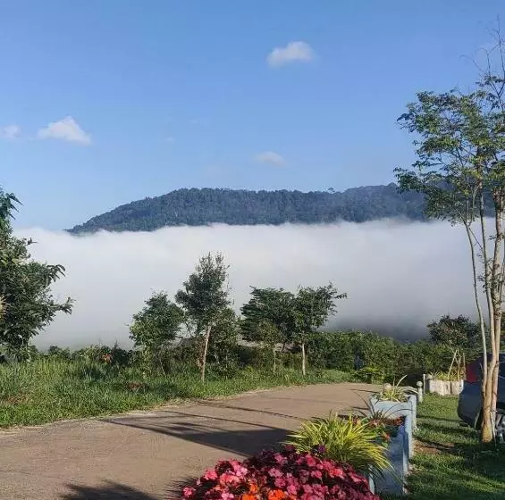 پانسیون บ้านพักเกชิลตา เขาค้อวิวทะเลหมอก