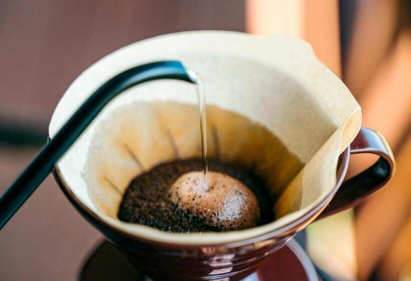 Ryokan 津川温泉 清川高原保養センター