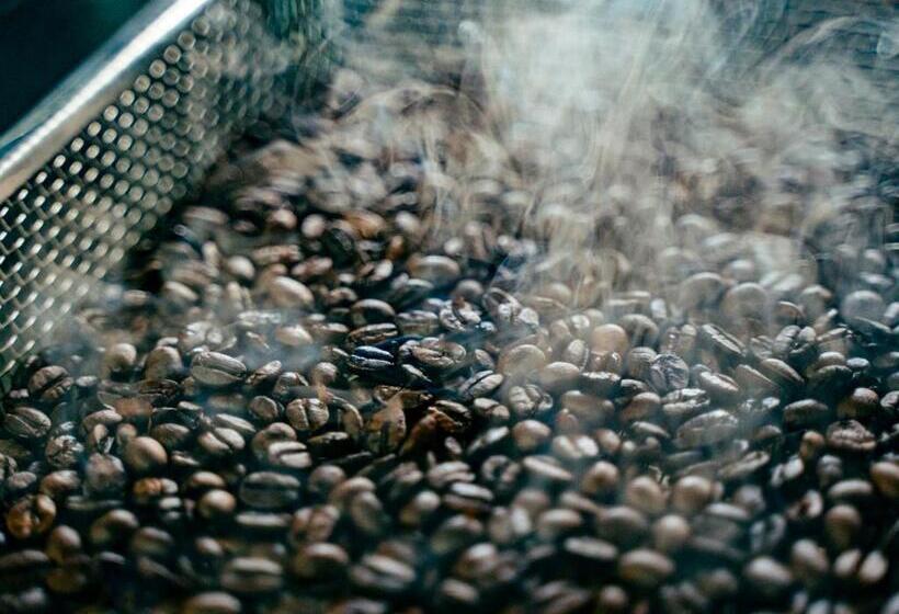 Ryokan 津川温泉 清川高原保養センター