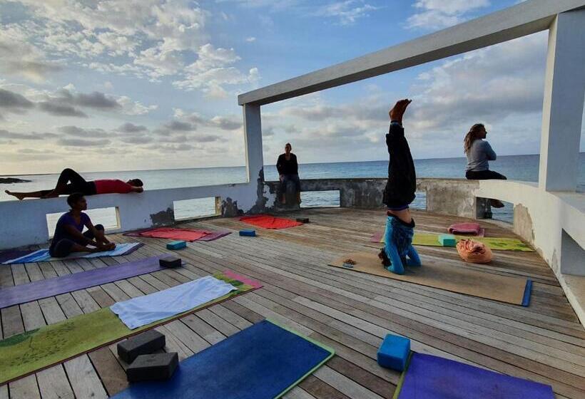 Surfzone Beachside Apartments