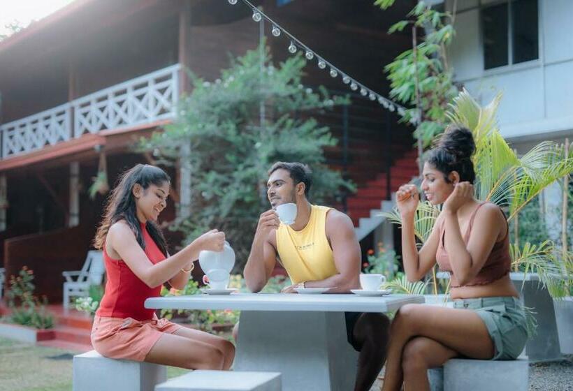 בית מלון כפרי Wood Lodge Mirissa