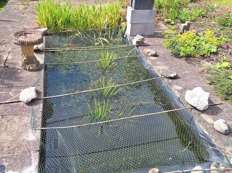 Luxurious Entire Studio In Axminster Suitable For