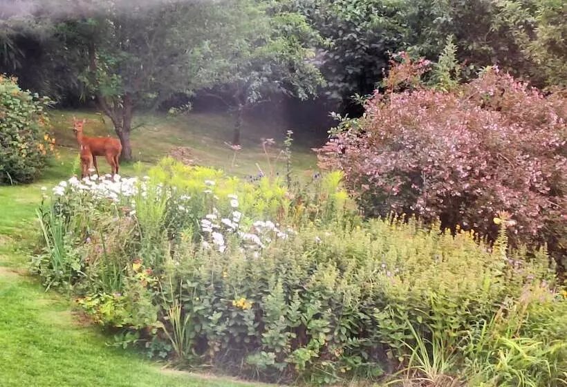 Luxurious Entire Studio In Axminster Suitable For