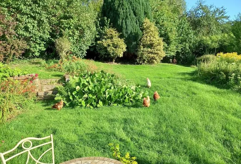 Luxurious Entire Studio In Axminster Suitable For