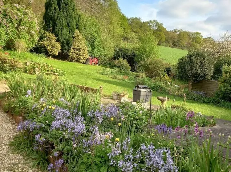 Luxurious Entire Studio In Axminster Suitable For