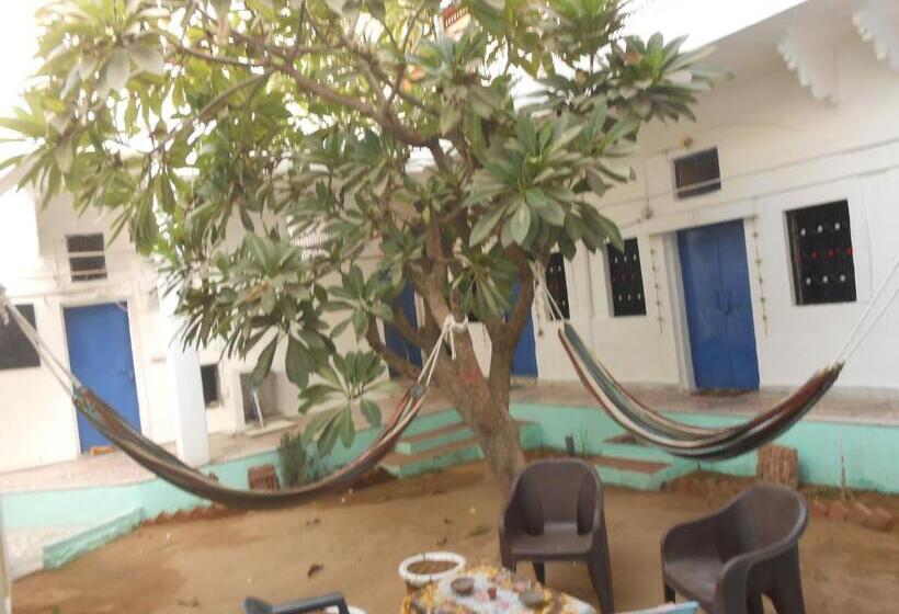 Pensão Shiva Guest House