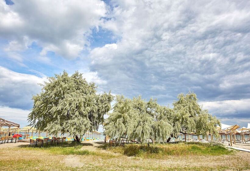 Apartamente Tomis Villa