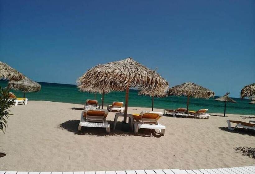 Apartamente Tomis Villa