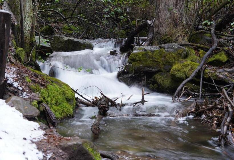 Buena Vista Trevelin Ii