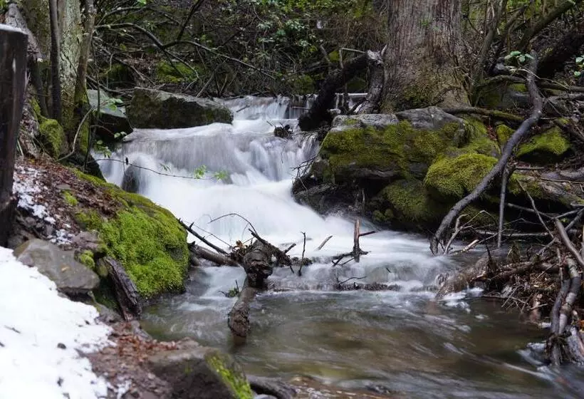 Buena Vista Trevelin Ii