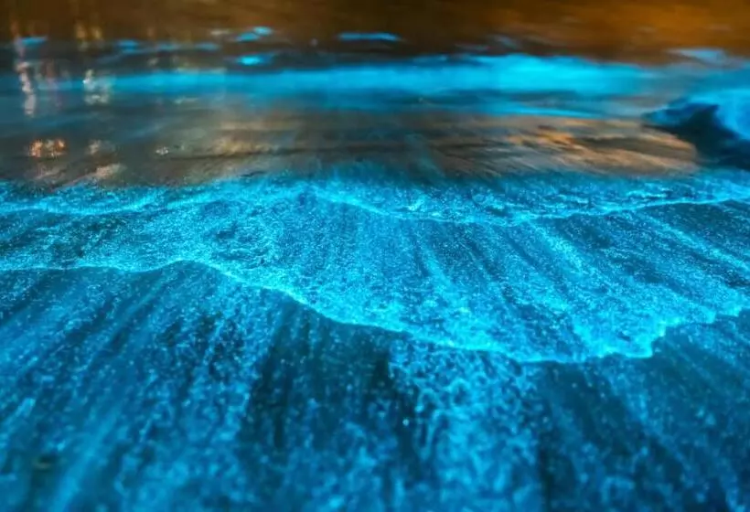 Dunas Da Barra