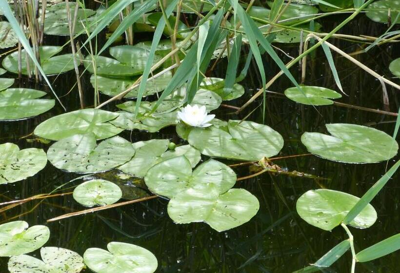 Ferienwohnung Jano   Residenz Am See