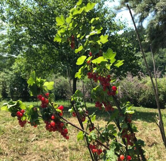 Ferienwohnungen Tinymoon