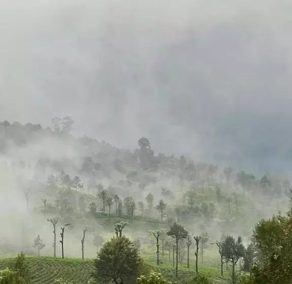 ホテル Vantage Hills Haputale