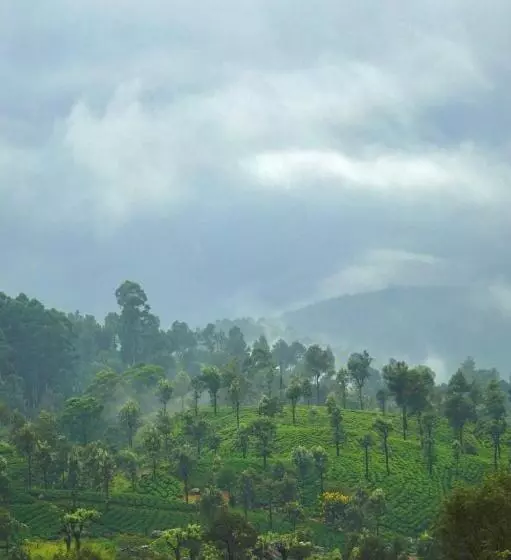 ホテル Vantage Hills Haputale