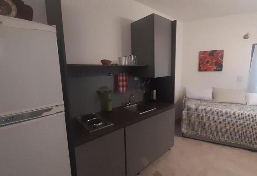 Monoambiente Belgrano