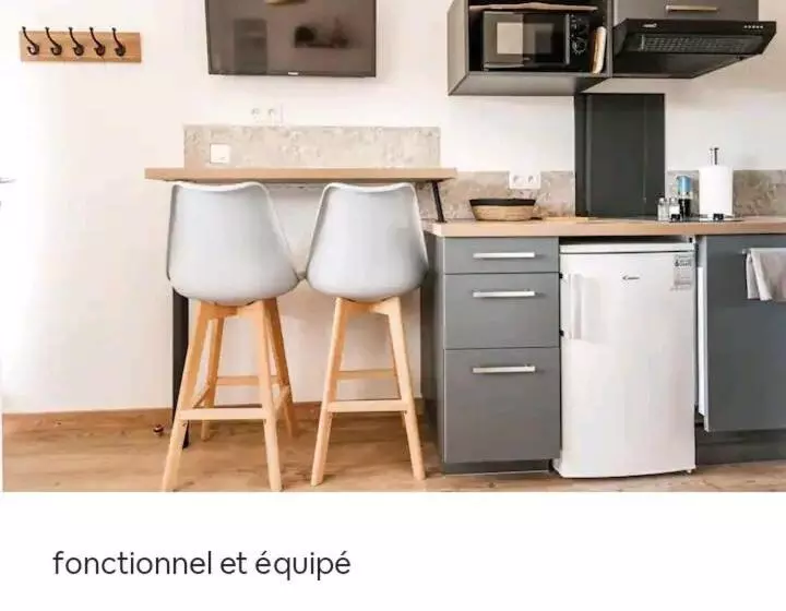 Studio Biscarrosse Plage