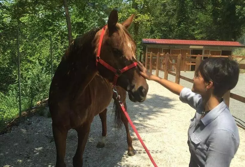 B&b Lo Scoiattolo Del Pollino
