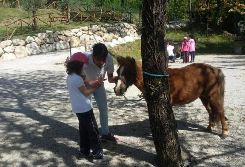 B&b Lo Scoiattolo Del Pollino