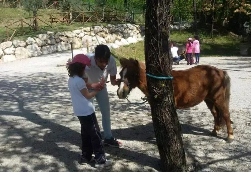 B&b Lo Scoiattolo Del Pollino