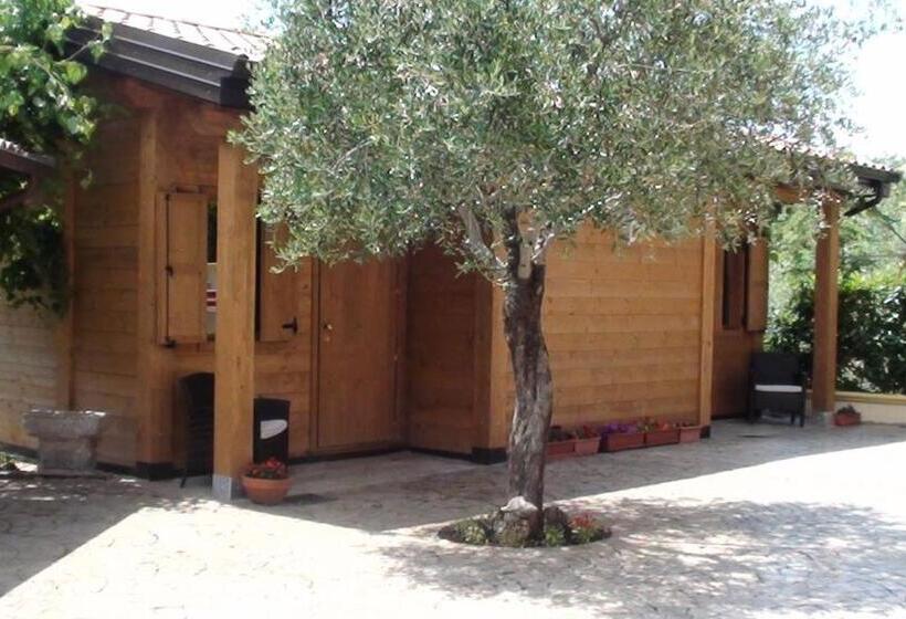 B&b Lo Scoiattolo Del Pollino