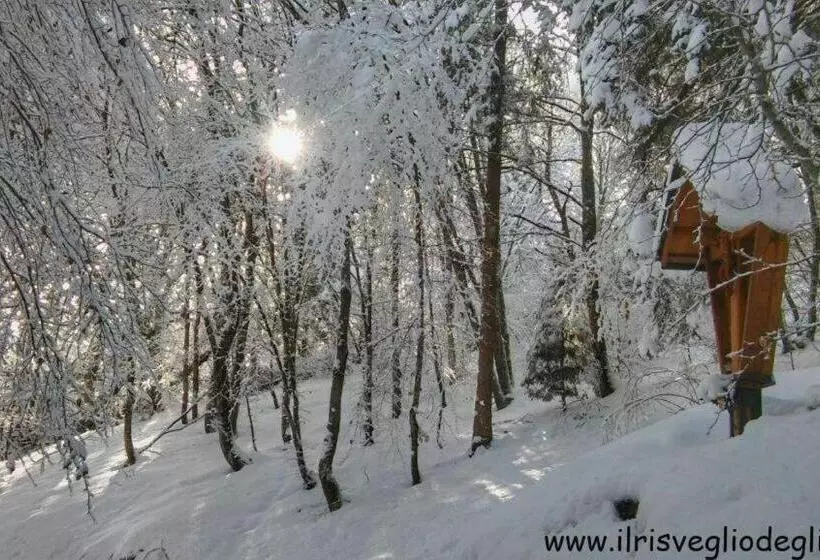 Casa Nella Natura Il Risveglio Degli Elfi