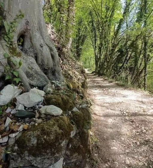 Casa Nella Natura Il Risveglio Degli Elfi