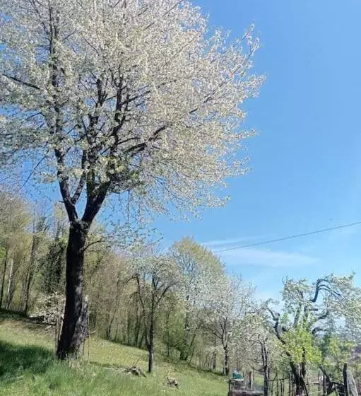 Casa Nella Natura Il Risveglio Degli Elfi