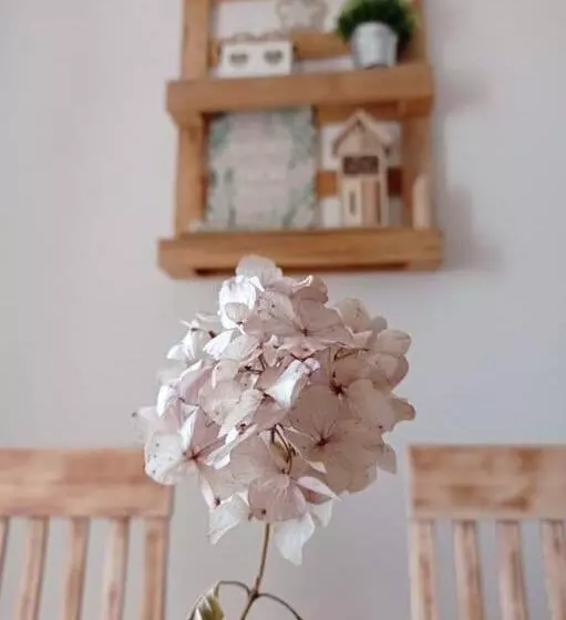 Casa Nella Natura Il Risveglio Degli Elfi