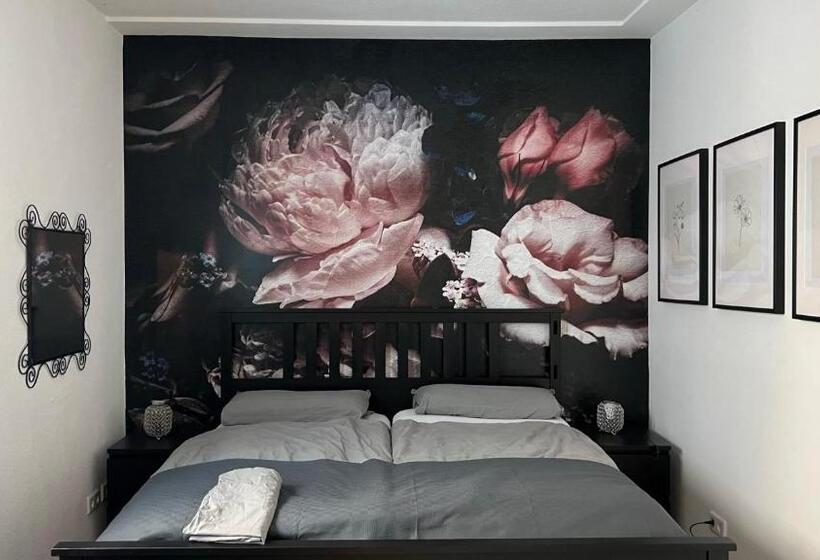 Designerwohnung Afrika Sehr Zentral Gelegen