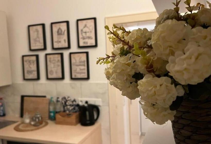 Designerwohnung Afrika Sehr Zentral Gelegen