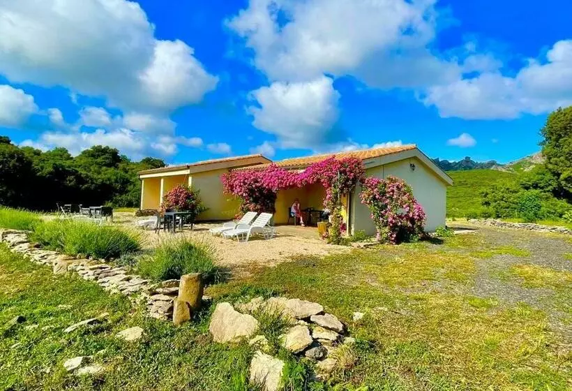 ホテル Agriturismo La Cresta