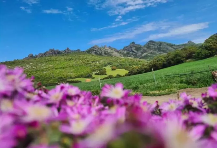 ホテル Agriturismo La Cresta