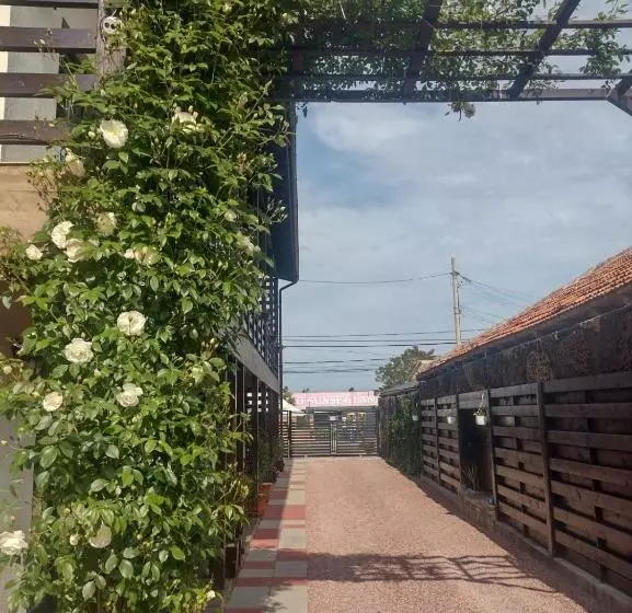 ペンション Casa Mura