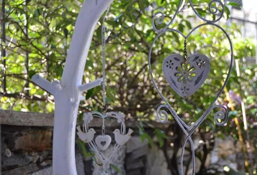 ベッドアンドブレックファースト Solivonatural Apartment